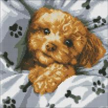 Diamentowa mozaika - Uroczy Maltipoo 40x40cm