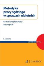 Metodyka pracy sędziego w sprawach nieletnich