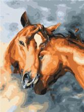 Malowanie po numerach - Czułość koni