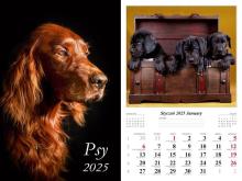 Kalendarz 2025 ścienny Psy