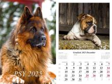 Kalendarz 2025 ścienny Psy