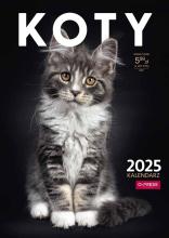 Kalendarz 2025 A4 Ścienny Koty