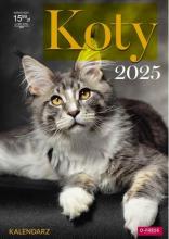 Kalendarz 2025 A3 Ścienny Koty