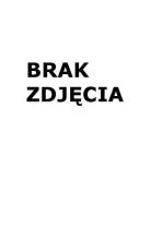 Ołówki z czarnego drewna Astrapen (48szt) ASTRA